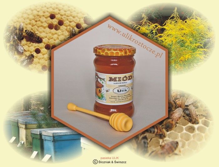 naturalny miód pszczeli nawłociowy z pasieki ULIK na Roztoczu