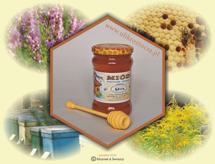 naturalny miód pszczeli nawlociowy-wrzosowy z pasieki ULIK na Roztoczu