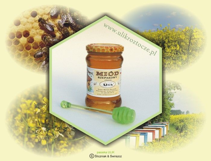 naturalny miód pszczeli rzepakowy z pasieki ULIK na Roztoczu