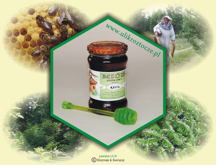 naturalny miód pszczeli spadziowy jodłowy z pasieki ULIK na Roztoczu